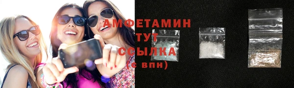 индика Дмитровск