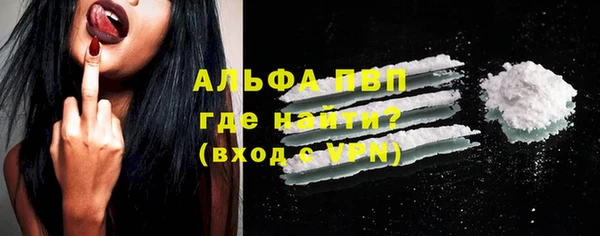 прущий лед Дмитриев