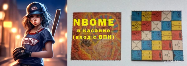 индика Дмитровск