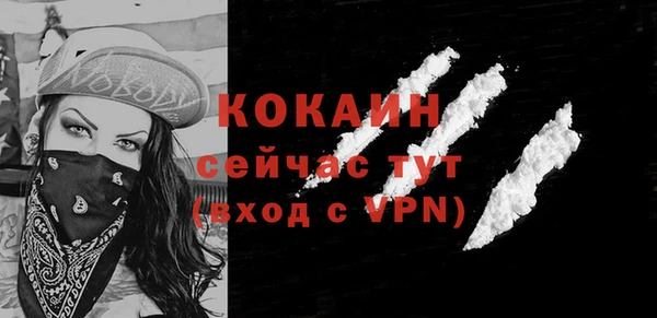 прущий лед Дмитриев