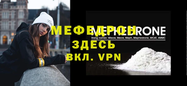 индика Дмитровск