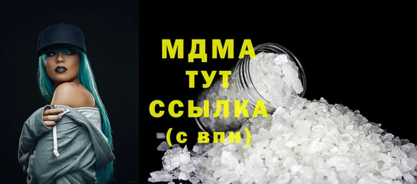 индика Дмитровск