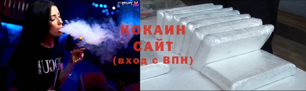 твердый Ельня