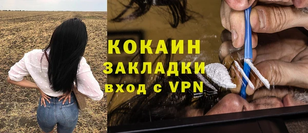 твердый Ельня