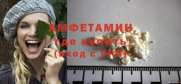 твердый Ельня