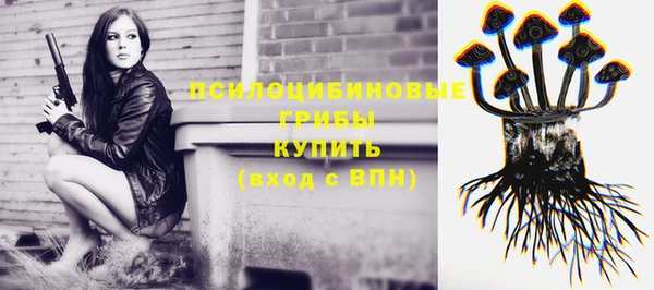 МДПВ Переславль-Залесский