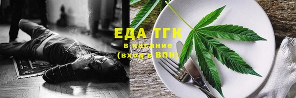 индика Дмитровск