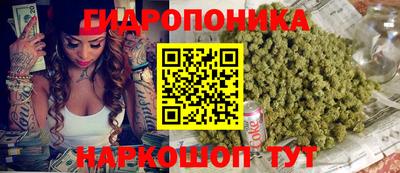 мяу мяу мука Камышлов