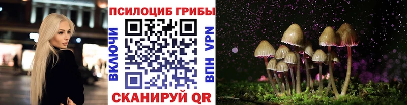 Псилоцибиновые грибы MAGIC MUSHROOMS Острогожск
