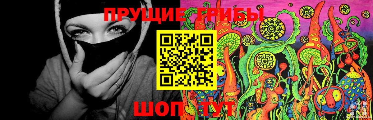 Галлюциногенные грибы Psilocybine cubensis Острогожск