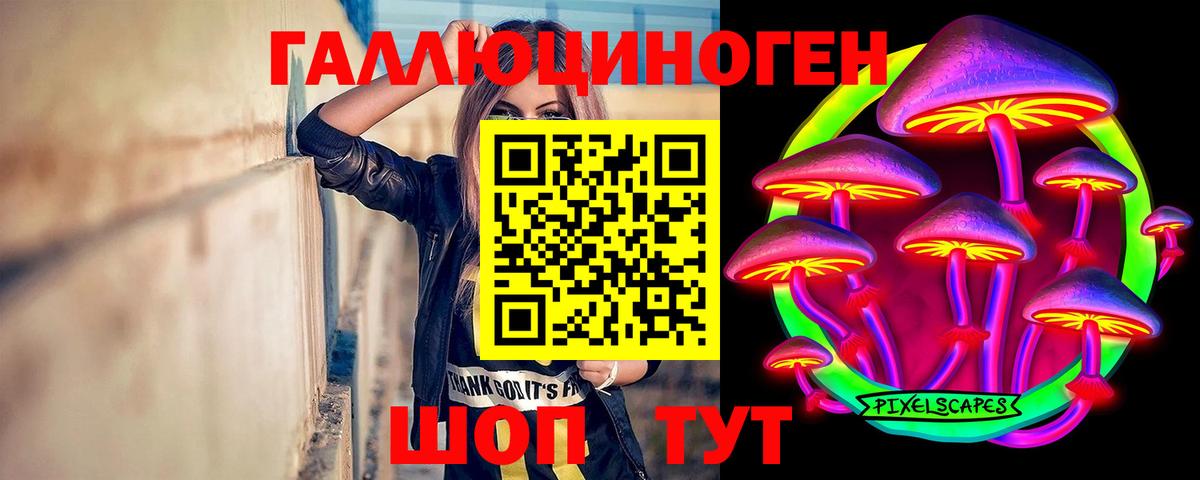 Псилоцибиновые грибы GOLDEN TEACHER  Вход с VPN  как найти закладки  Галлюциногенные грибы мицелий  Острогожск 