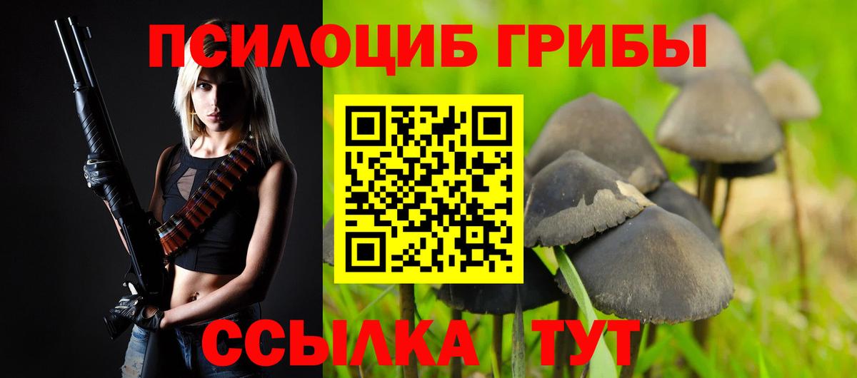 Псилоцибиновые грибы Psilocybine cubensis  Острогожск  Псилоцибиновые грибы Cubensis 